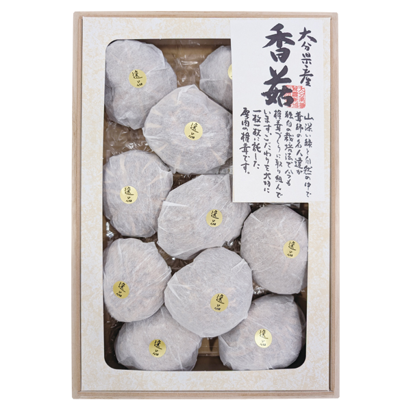 啪ő_Ƌg 啪Yő () i (IP-50)